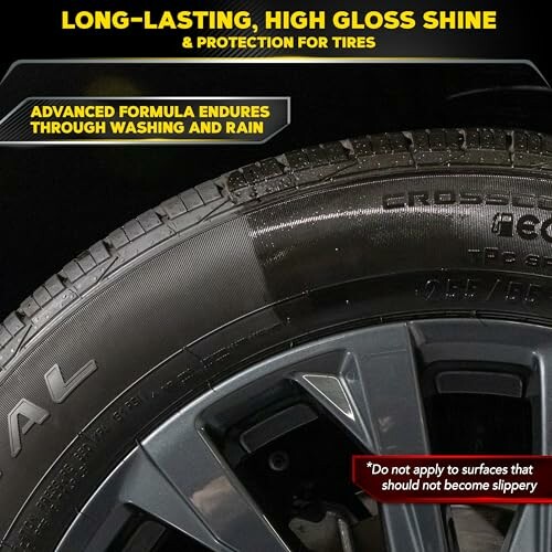 Tire with high gloss shine and protective coating.